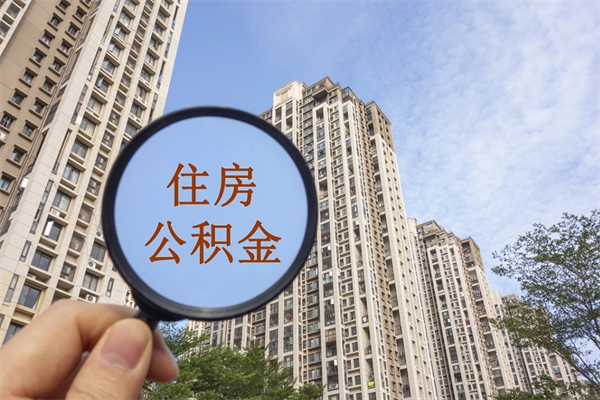 杞县辞职了补充公积金能取不（辞职后补充公积金如何提取）